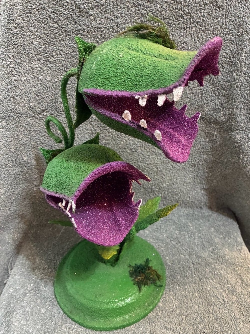Decorative Tabletop Carnivorous Plant is the Ashland Venus Fly Trap.